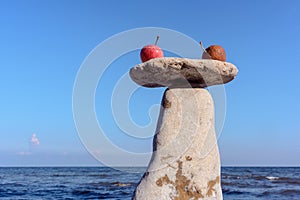 Apples on the stone