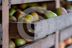 Apples stored in wooden drawers in rural Somerset, near Bradford on Avon. The apples are used to make cider. Photographed in autum