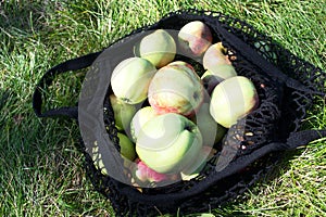 Apples in a string bag. Garden apples in an eco-friendly bag on green grass. View from above. The use of reusable bags