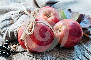 Apples tied with a rope with cinnamon on a piece of gray linen