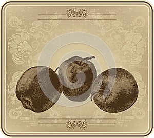 Apples with vintage frame, hand-drawing. Vector illustration.