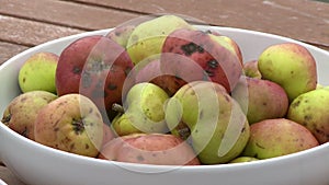 Apples in white bowl