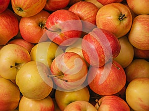 Apples are yellow with red color as a background. Macro photo of an apple with water drops