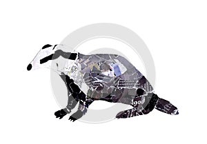 Application  `Badger` on a white background. Children`s creativity
