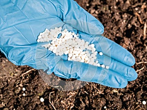 The application of nitrogenous fertilizers in soil in early spring, plant care