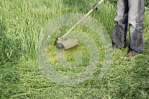 Application trimmers. Mowing green grass using a fishing line tr