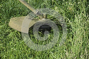 Application trimmers. Mowing green grass using a fishing line trimmer