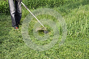 Application trimmers. Mowing green grass using a fishing line trimmer