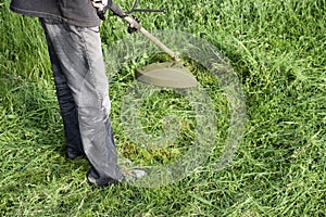 Application trimmers. Mowing green grass using a fishing line trimmer