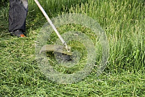 Application trimmers. Mowing green grass using a fishing line trimmer
