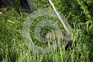 Application trimmers. Mowing green grass using a fishing line trimmer