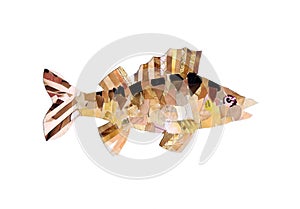 Application `Walleye` on a white background. Children`s creativity