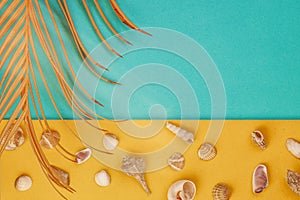 Applique. Tropical beach, seashells on sand, blue sky, summer exotic vacation concept. Colorful bright background