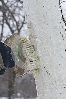 Apply a brush of whitewash to the trees in the garden to protect them from the sun