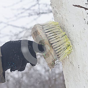 Apply a brush of whitewash to the trees in the garden to protect them from the sun