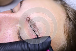 Applying paint to the hair of the eyebrows after laminating the eyebrows with a thin brush