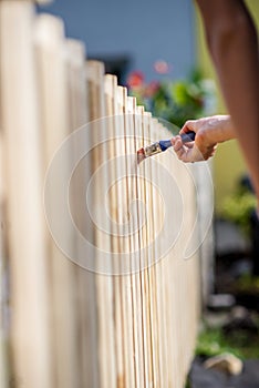 Applying protective transparent varnish on a new wooden fence