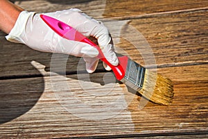 Applying protective varnish on wood photo
