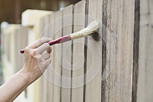 Applying protective varnish on wooden fence