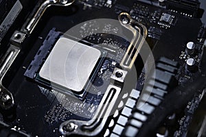 Applying thermal paste to the surface of the computer processor. Thermal interface on the processor