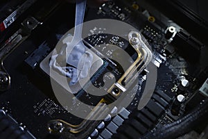 Applying thermal paste to the surface of the computer processor. Thermal interface on the processor