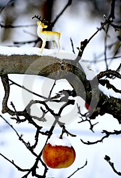 appple and deer figurine on a snow covered apple branch