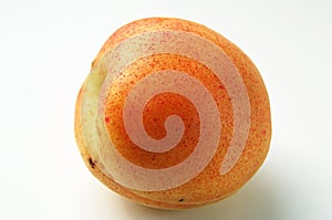 Appricot 1 photo