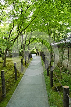 The approach inside Eikan-Do temple. Kyoto Japan