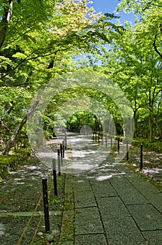 The approach of Komyo-ji temple.  Kyoto Japan