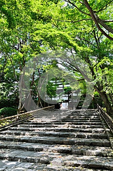 Approach path of Ryoanji Temple, Kyoto Japan.
