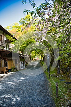 The approach of Sanzenin Temple. Kyoto Japan