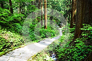 Approach to Dewa Shrine, Yamagata, Japan