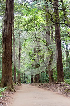 Approach to Kashima Shrine Kashima jingu Shrine in Kashima, Ibaraki Prefecture, Japan.