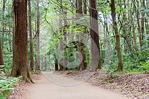 Approach to Kashima Shrine Kashima jingu Shrine in Kashima, Ibaraki Prefecture, Japan.