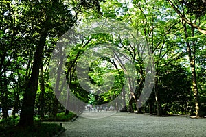 Approach to Shimogamo-jinja Shrine of fresh verdure in the evening, Kyoto, Japan