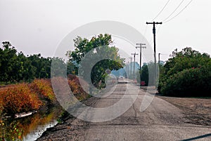 An approaching car from a distance down a country road.