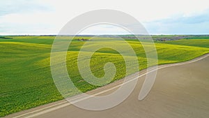 Approaching in flight to the flowering rapeseed fields. Aerial view.