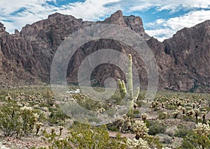 Approaching Palm Canyon, Kofa National Wildlife Refuge