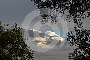 Approaching storm clouds and silhouetted trees