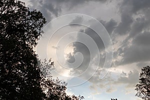 Approaching storm clouds and silhouetted trees