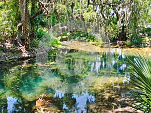 Gemini Springs in Volusia County, Florida photo