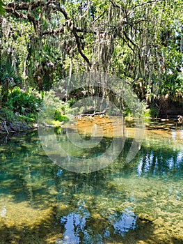 Gemini Springs in Volusia County, Florida photo