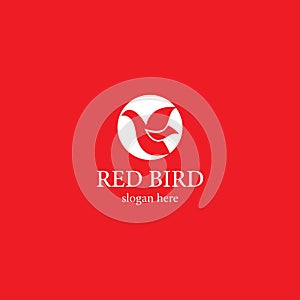 Red Bird logo template
