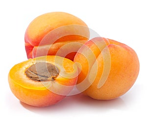 Apricot