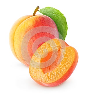 Apricot