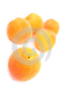 Apricot