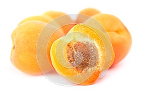 Apricot