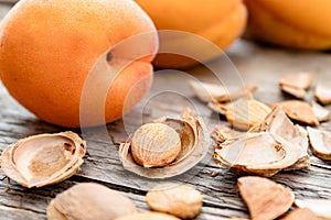 Apricot and apricot seeds on the background of old boards. Apricot pits for the manufacture of tablets and drugs