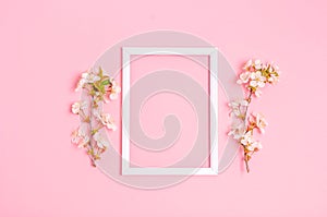 Apricot branch around a white frame on a pink background with space for text