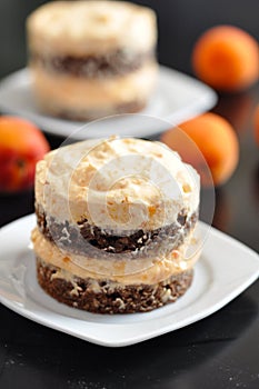 Apricot Chocolate Dessert